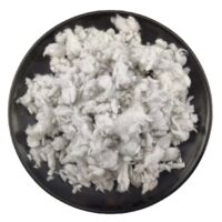 Refractory fiber